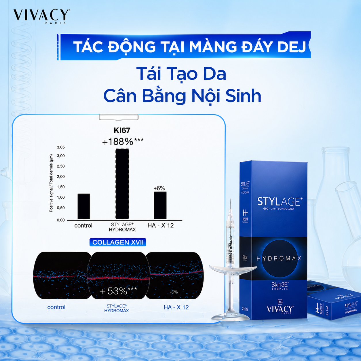tái tạo da cân bằng nội sinh